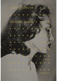 Žvaigždės valanda. E.knyga