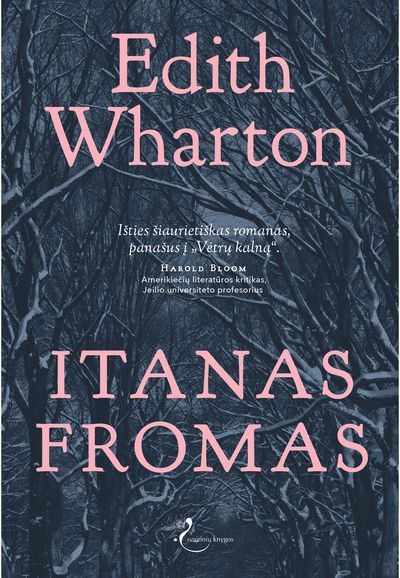 Itanas Fromas. E.knyga