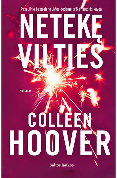 Netekę vilties. Audioknyga