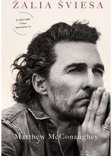 Žalia šviesa. Audioknyga