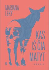 Kas iš čia matyt. E.knyga
