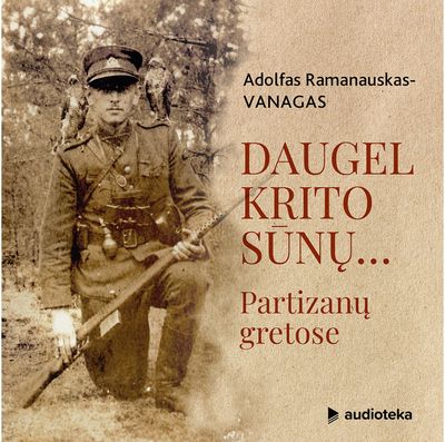 Daugel krito sūnų. Audioknyga