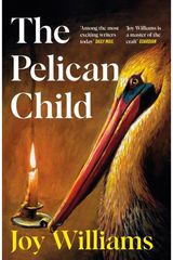 Pelican Child: Longlisted for the 2025 National Book Award