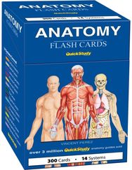 Anatomy Flash Cards (300 Cards)