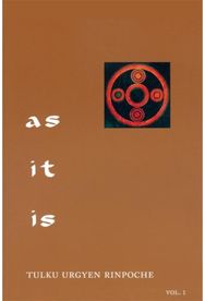As It Is, Volume II: Essential Teachings from the Dzogchen Perspective