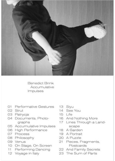 N° 3 : Accumulative Impulses