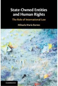 State-Owned Entities and Human Rights: The Role of International Law
