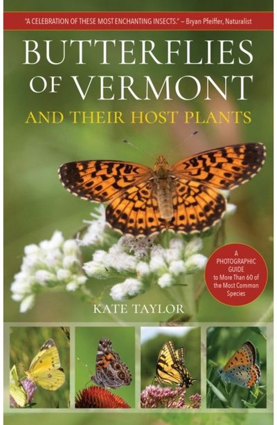 Butterflies of Vermont
