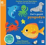 Dwin Gweld Pysgodyn / I Spot a Fish