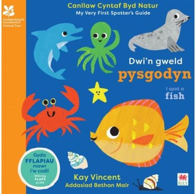 Dwin Gweld Pysgodyn / I Spot a Fish