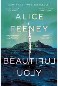 Beautiful Ugly: A Novel