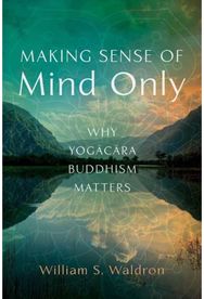 Making Sense of Mind Only: Why Yogacara Buddhism Matters