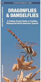 Dragonflies & Damselflies: A Folding Pocket Guide to Familiar Widespread, North American Species