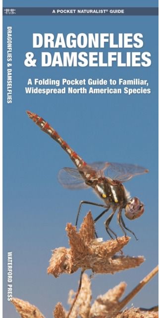 Dragonflies & Damselflies: A Folding Pocket Guide to Familiar Widespread, North American Species