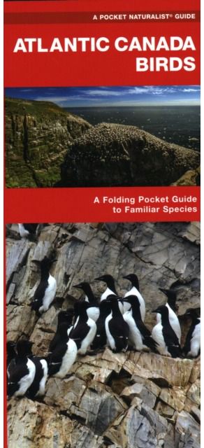 Atlantic Canada Birds
