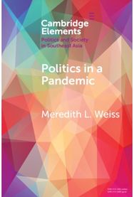 Politics in a Pandemic: Governance and Crisis Management in Southeast Asia