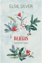 Bejėgis
