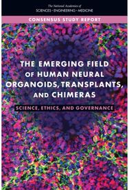 Emerging Field of Human Neural Organoids, Transplants, and Chimeras: Science, Ethics, and Governance