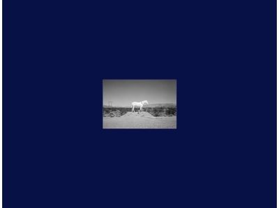 Prophetic Kingdom: Autopsis