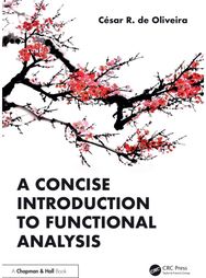 Concise Introduction to Functional Analysis