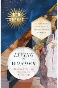 Living in Wonder: Finding Mystery and Meaning in a Secular Age