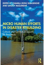 Micro Human Efforts in Disaster Rebuilding: Cultural and Contextual Lessons for Resilience