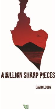 A Billion Sharp Pieces