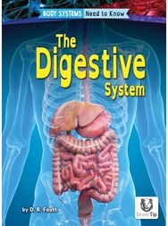 Digestive System
