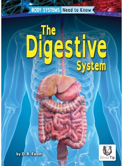 Digestive System
