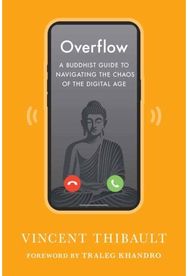 Overflow: A Buddhist Guide to Navigating the Chaos of the Digital Age