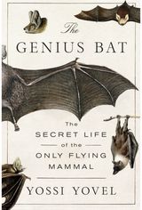 Genius Bat: The Secret Life of the Only Flying Mammal