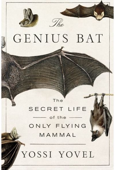 Genius Bat: The Secret Life of the Only Flying Mammal