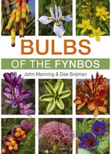 Bulbs of the Fynbos