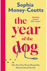 Year of the Dog: How One Tiny Terrier Ruined My Sofa but Saved My Life
