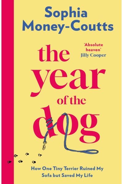 Year of the Dog: How One Tiny Terrier Ruined My Sofa but Saved My Life