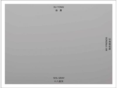 Xu Yong: 18% GRAY / MY FRIENDS