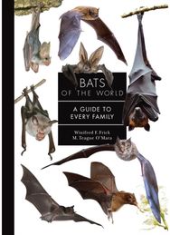 Bats of the World: A Guide to Every Family