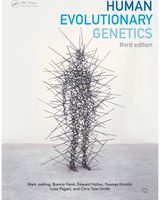 Human Evolutionary Genetics