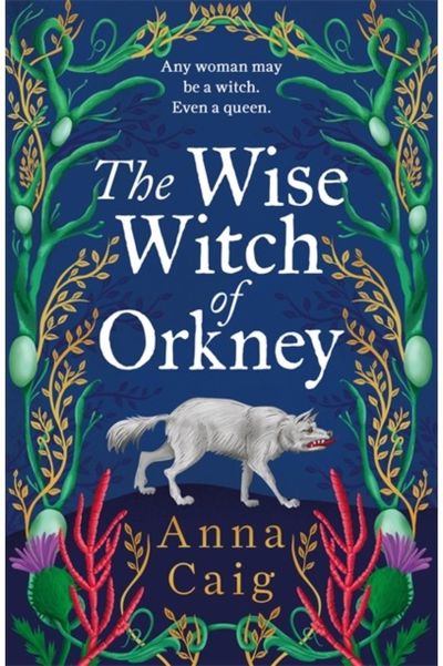 Wise Witch of Orkney: A spell-binding debut novel about Scotland’s witch-hunting hysteria