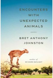 Encounters with Unexpected Animals: Stories