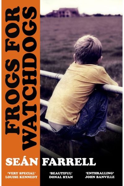 Frogs for Watchdogs: 'A stunning novel that will live long in my imagination’ DONAL RYAN