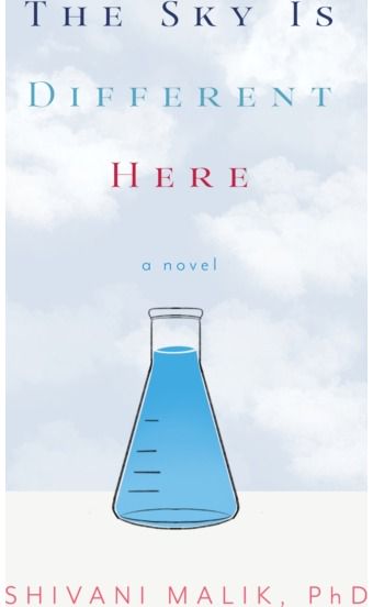 Sky is Different Here: A Novel
