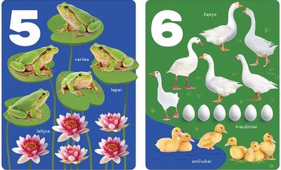 100 pirmųjų žodžių. Spalvos, skaičiai, formos