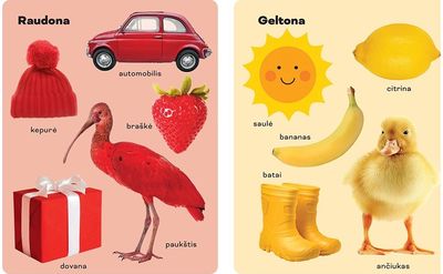 100 pirmųjų žodžių. Spalvos, skaičiai, formos