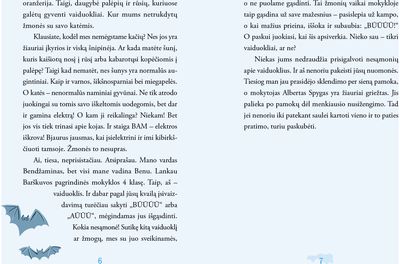 Vaiduoklių mokykla. Dingusio kaulo byla