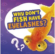 Why Dont Fish Have Eyelashes?