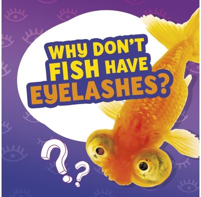 Why Dont Fish Have Eyelashes?