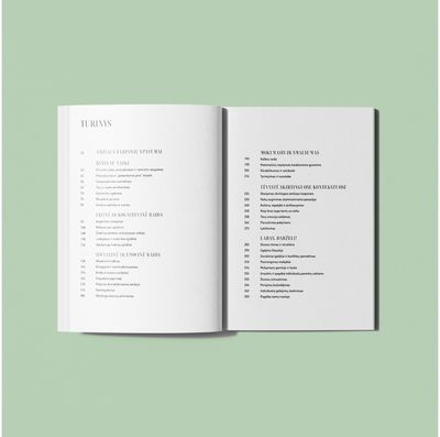 Iki mokyklos. Ankstyvosios vaikystės gidas