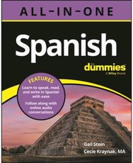 Spanish All-In-One For Dummies: Book + Audio Online