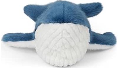 Blue Whale